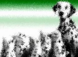 spiele die man kostenlos spielen kann
