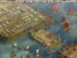 shakes fidget online browser game