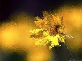 ballerspiele ab 18 jahren die kostenlos sind